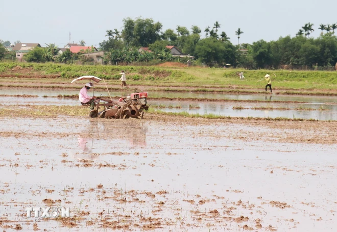 ttxvn_trieu phong quang tri.jpg