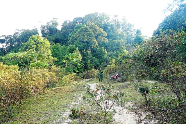 Ngã xuống, khi không mang súng: Biên giới sáng mãi những anh hùng- Ảnh 5.