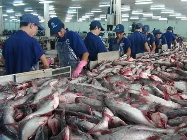 ข้อสรุปของการตรวจสอบทางการบริหารเกี่ยวกับภาษีต่อต้านการทุ่มตลาดปลาสวายของเวียดนามที่ส่งออกไปยังสหรัฐอเมริกา