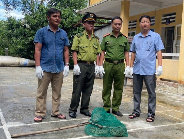 Đang ‘trộm’ cá, con vật dài 2 mét có tên trong Sách đỏ bị bắt ảnh 1