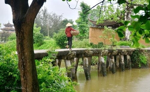 Cây cầu đá rêu phong nổi tiếng ở làng Nôm. Ảnh: Nguyễn Minh Sơn.