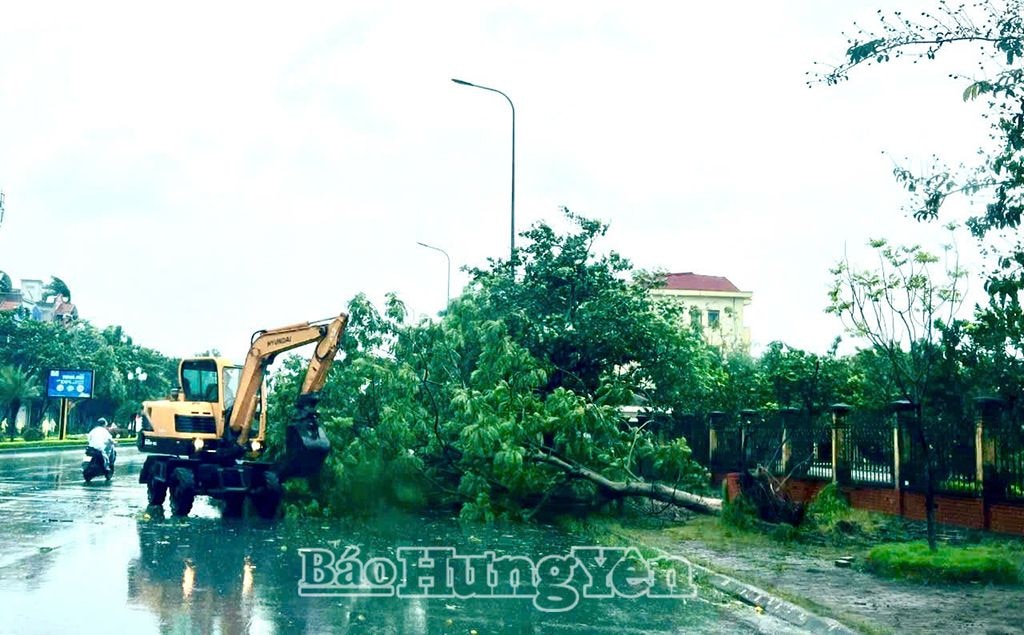 Công ty cổ phần Môi trường và công trình đô thị Hưng Yên khắc phục cây xanh gẫy đổ tại thành phố Hưng Yên