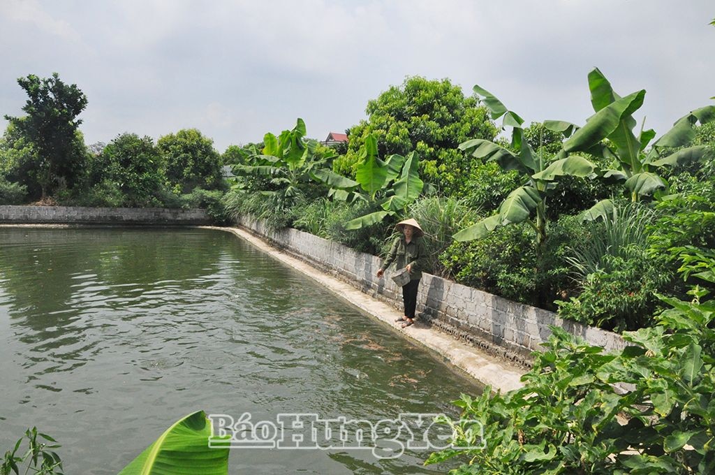 Trang trại của gia đình chị Doãn Thị Liễu mang lại hiệu quả kinh tế cao