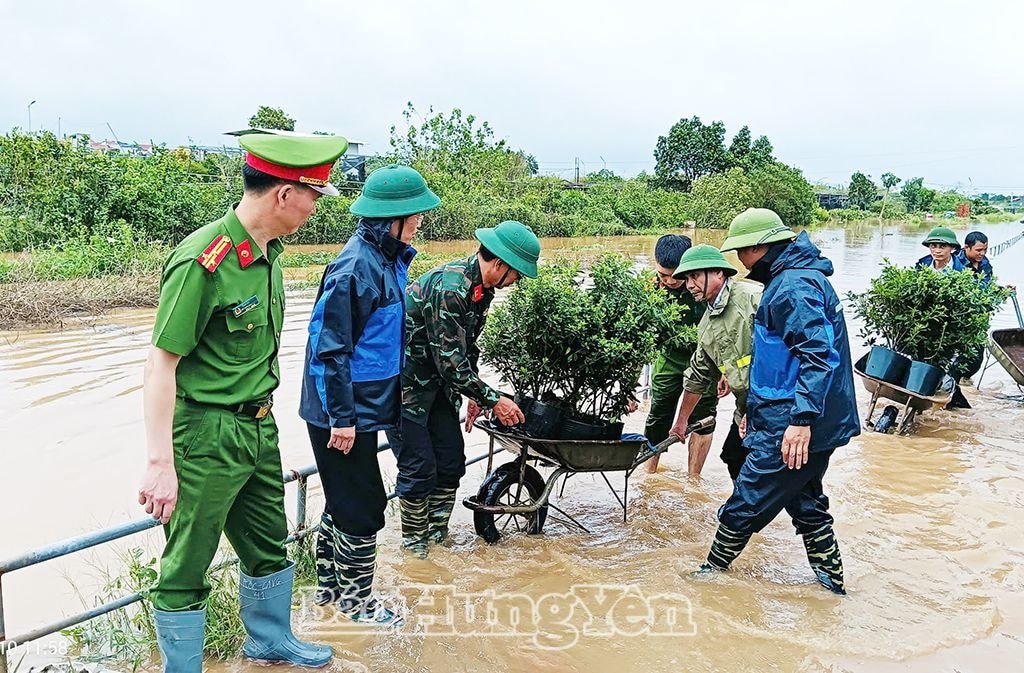 Các lực lượng chức năng giúp Nhân dân Văn Giang vận di dời cây cảnh đến nơi cao ráo