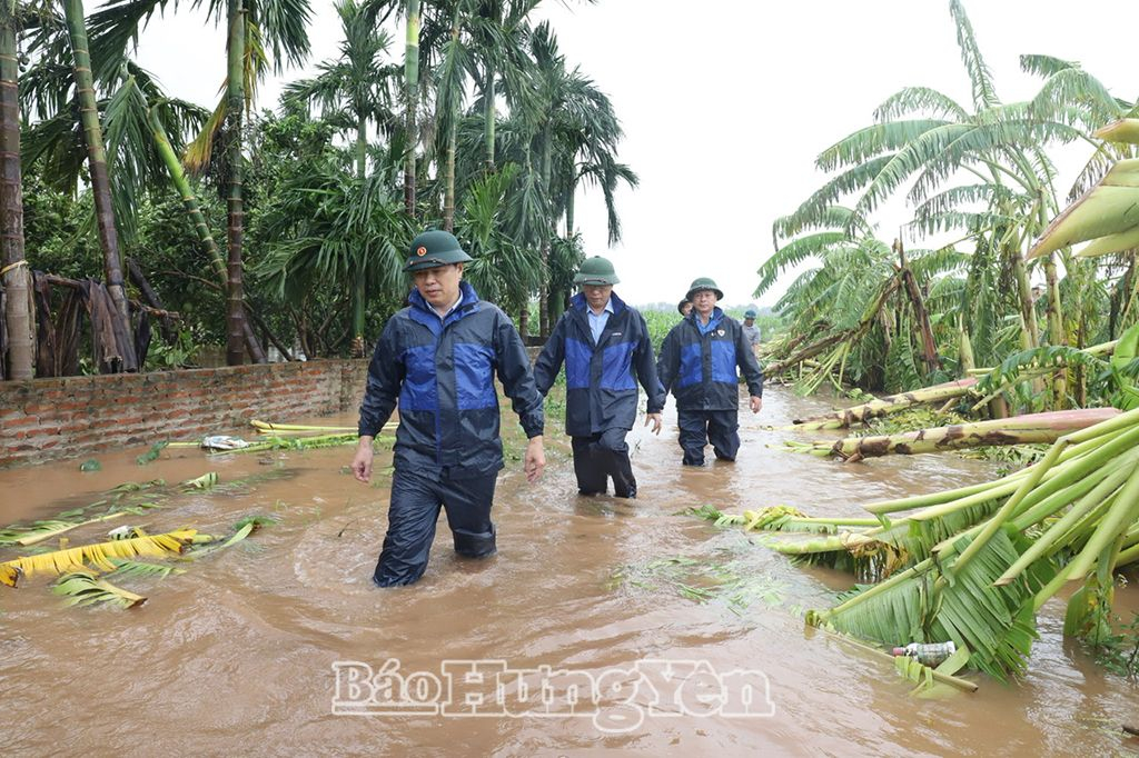 Đồng chí Phó Bí thư Thường trực Tỉnh ủy, Chủ tịch HĐND tỉnh Trần Quốc Toản kiểm tra công tác ứng phó với mưa, lũ tại kè Phú Mỹ, xã Đức Hợp (Kim Động)