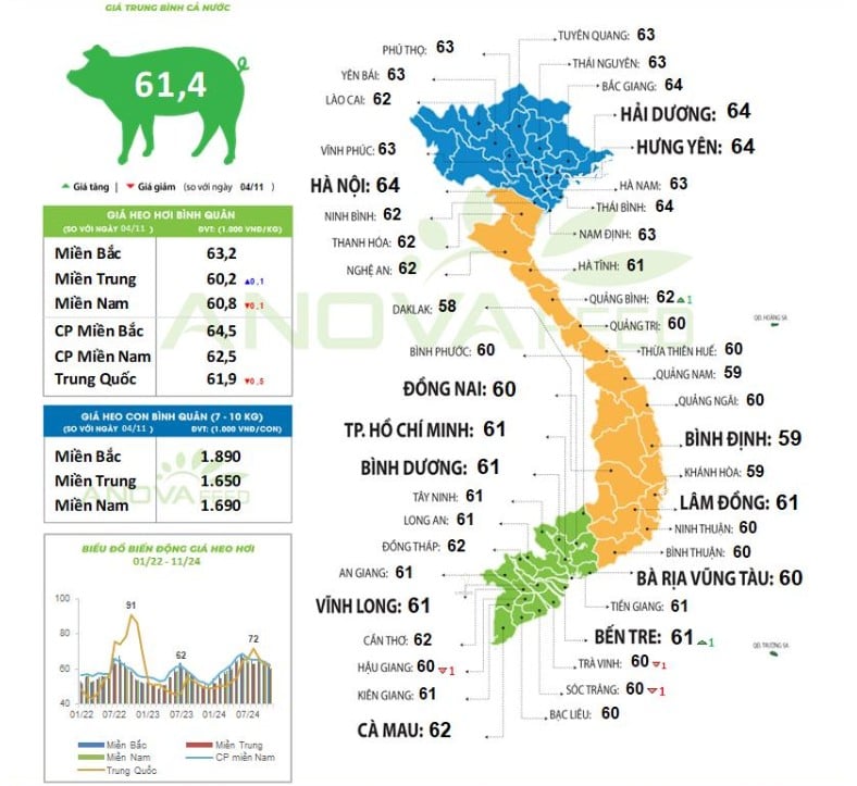 Giá heo hơi hôm nay 6/11/2024: