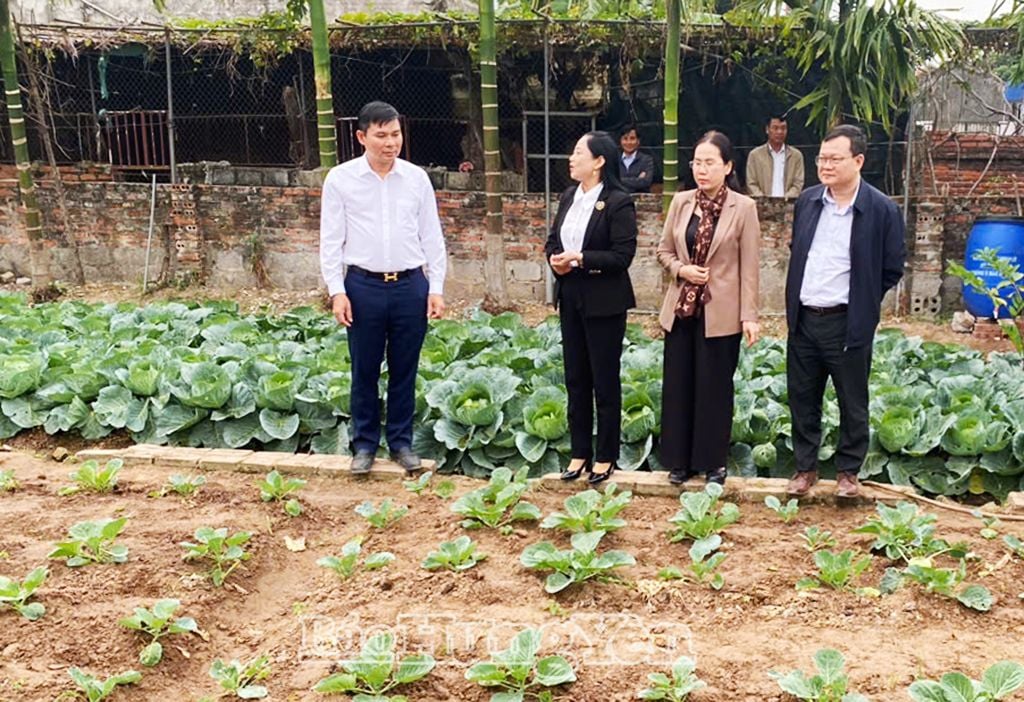 Đồng chí Nguyễn Lê Huy, Ủy viên Ban Thường vụ Tỉnh ủy, Phó Chủ tịch Thường trực UBND tỉnh kiểm tra việc thực hiện Đề án tại xã Bảo Khê (thành phố Hưng Yên)