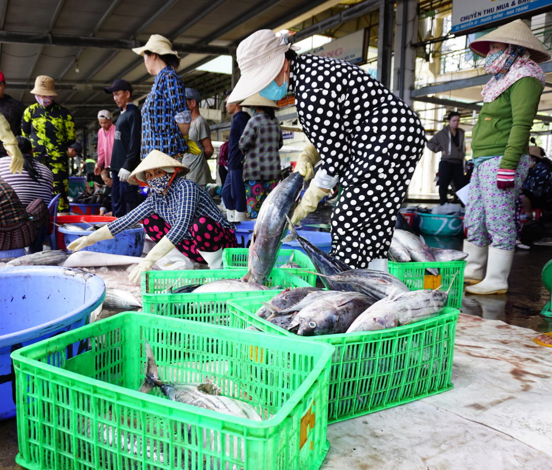 Hải sản khai thác được bốc dỡ tại cảng Hòn Rớ (TP. Nha Trang).