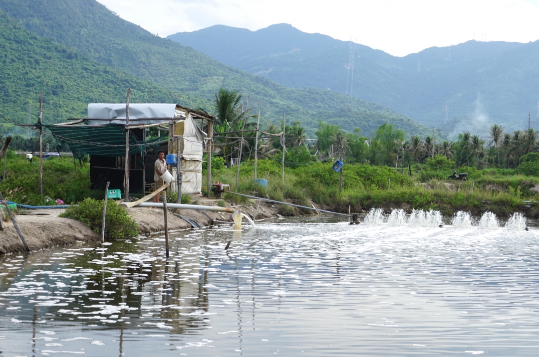 Người dân xã Ninh Ích (thị xã Ninh Hòa) tăng cường quạt nước cho đìa nuôi tôm nước lợ trong điều kiện thời tiết thay đổi.