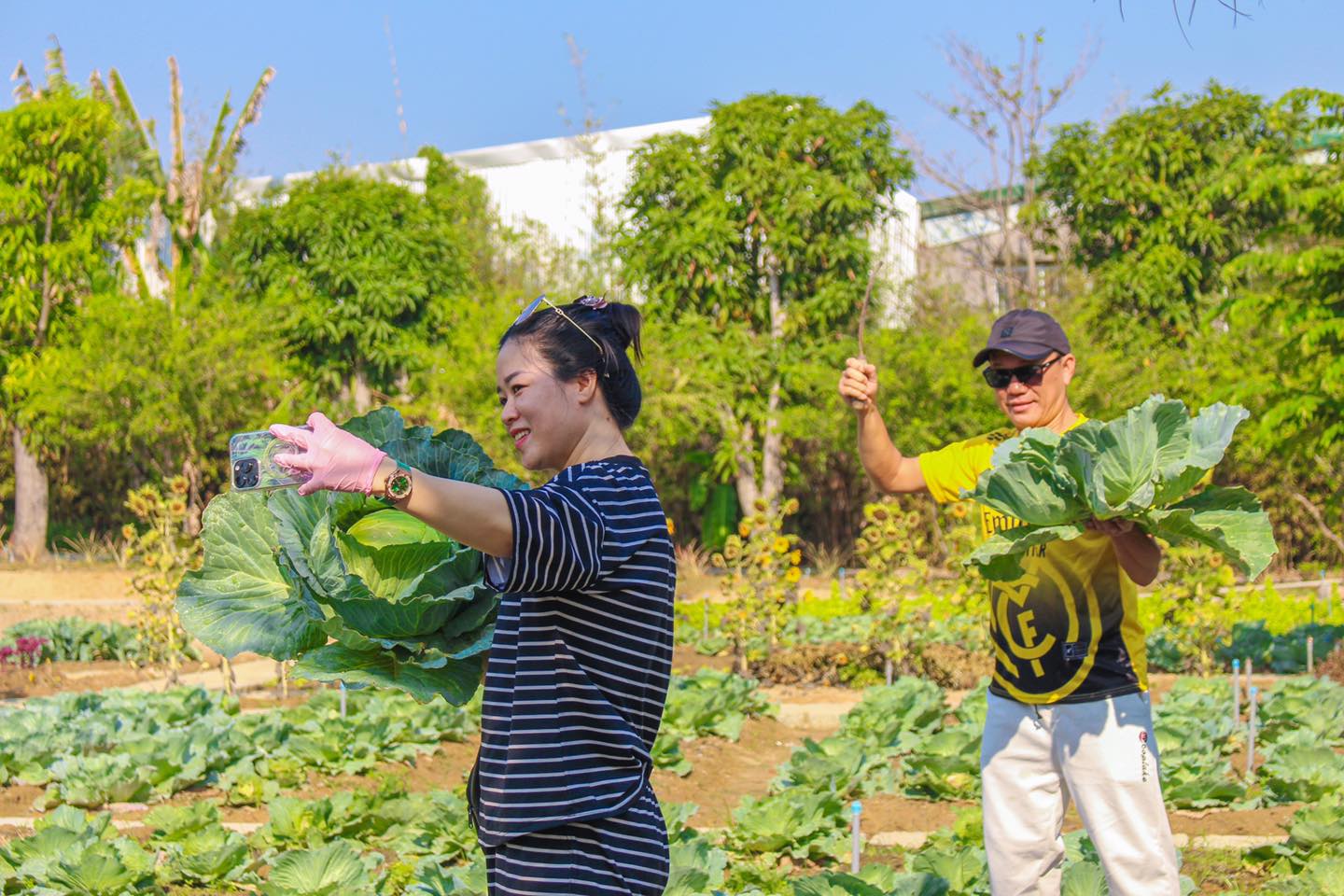 Du khách tham quan vườn rau ở Diên Khánh.
