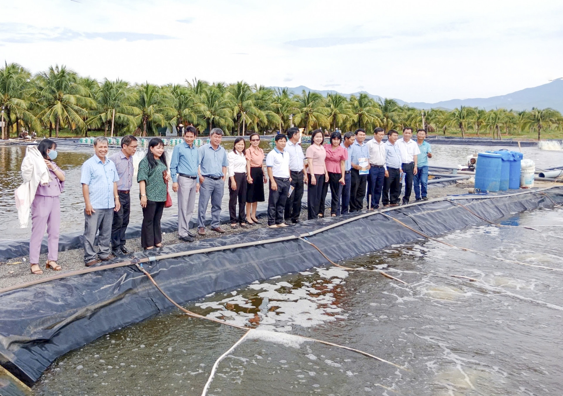 Hội Nông dân tỉnh khảo sát mô hình trồng dừa kết hợp nuôi trồng thủy sản tại Ninh Hòa.