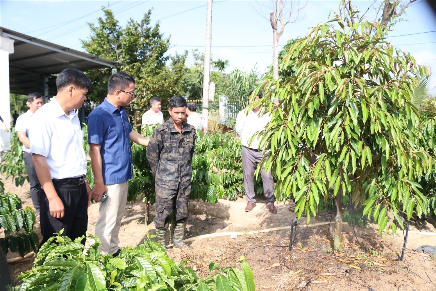 Đoàn công tác kiểm tra mô hình hỗ trợ cây giống sầu riêng cho hộ ông A Lưới (thứ ba từ trái sang), làng Chứ, xã Ya Ly, huyện Sa Thầy