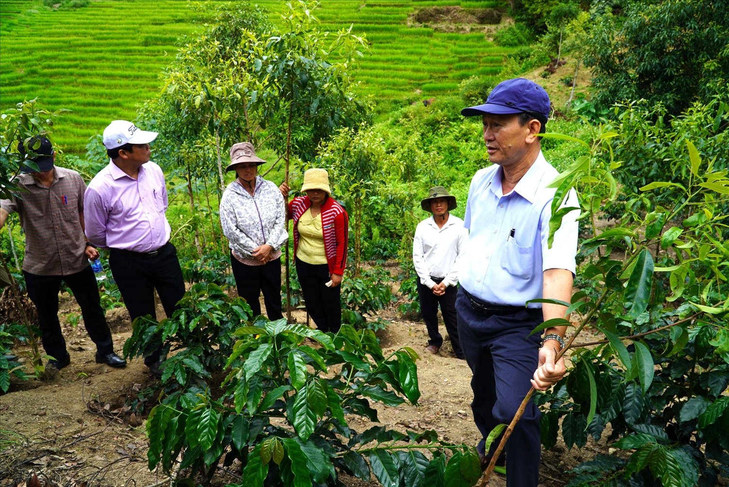 Bí thư Tỉnh ủy Kon Tum Dương Văn Trang (ngoài cùng bên phải) thường xuyên xuống từng thôn kiểm tra công tác giúp đỡ các hộ đồng bào DTTS ở xã Mường Hoong và xã Ngọc Linh phát triển sản xuất