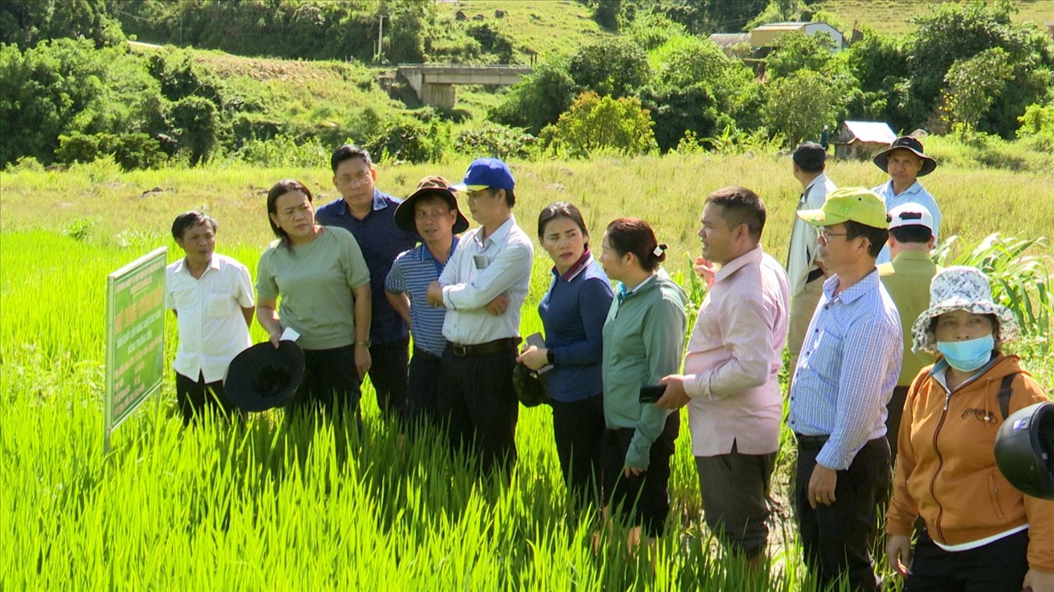 Các thành viên Tổ công tác 262 kiểm tra mô hình hỗ trợ đồng bào DTTS ở xã Mường Hoong, xã Ngọc Linh trồng lúa nước 2 vụ