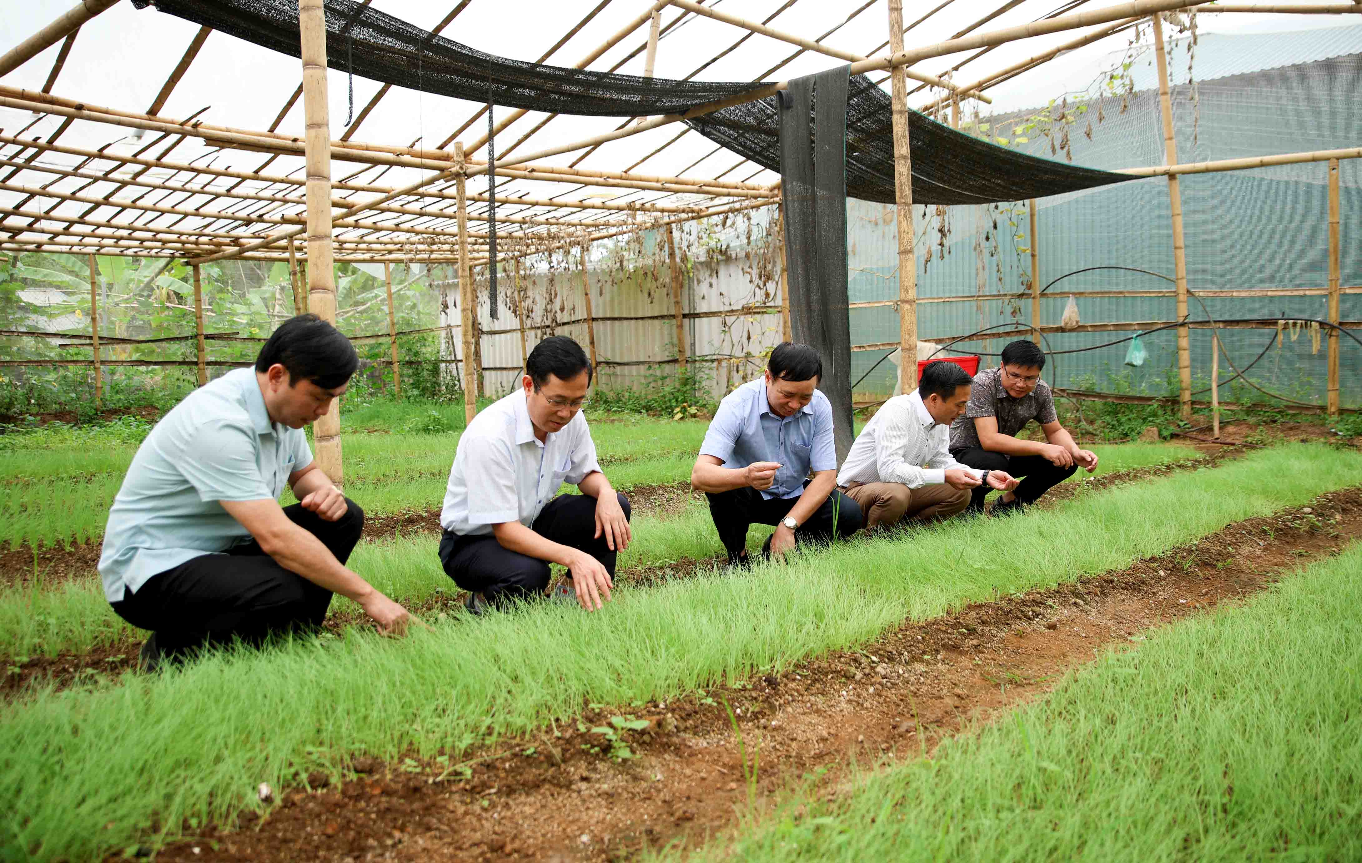 Thăm mô hình trồng măng tây, hành của HTX Nông nghiệp xanh Lai Châu ở bản Tân Bắc, xã Pắc Ta. 