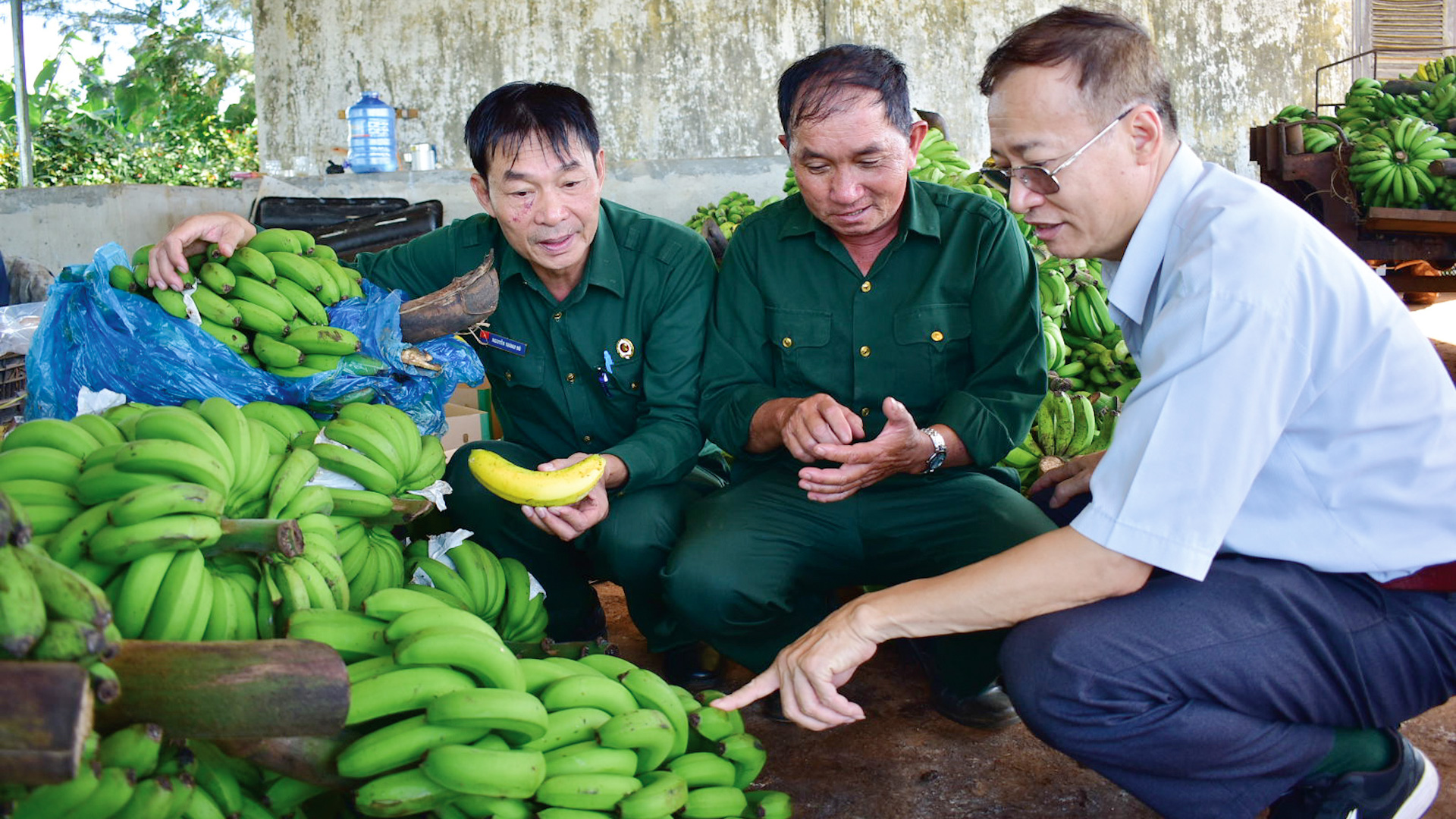 Từ CLB, nhiều CCB phấn khởi phát triển kinh tế, làm giàu chính đáng