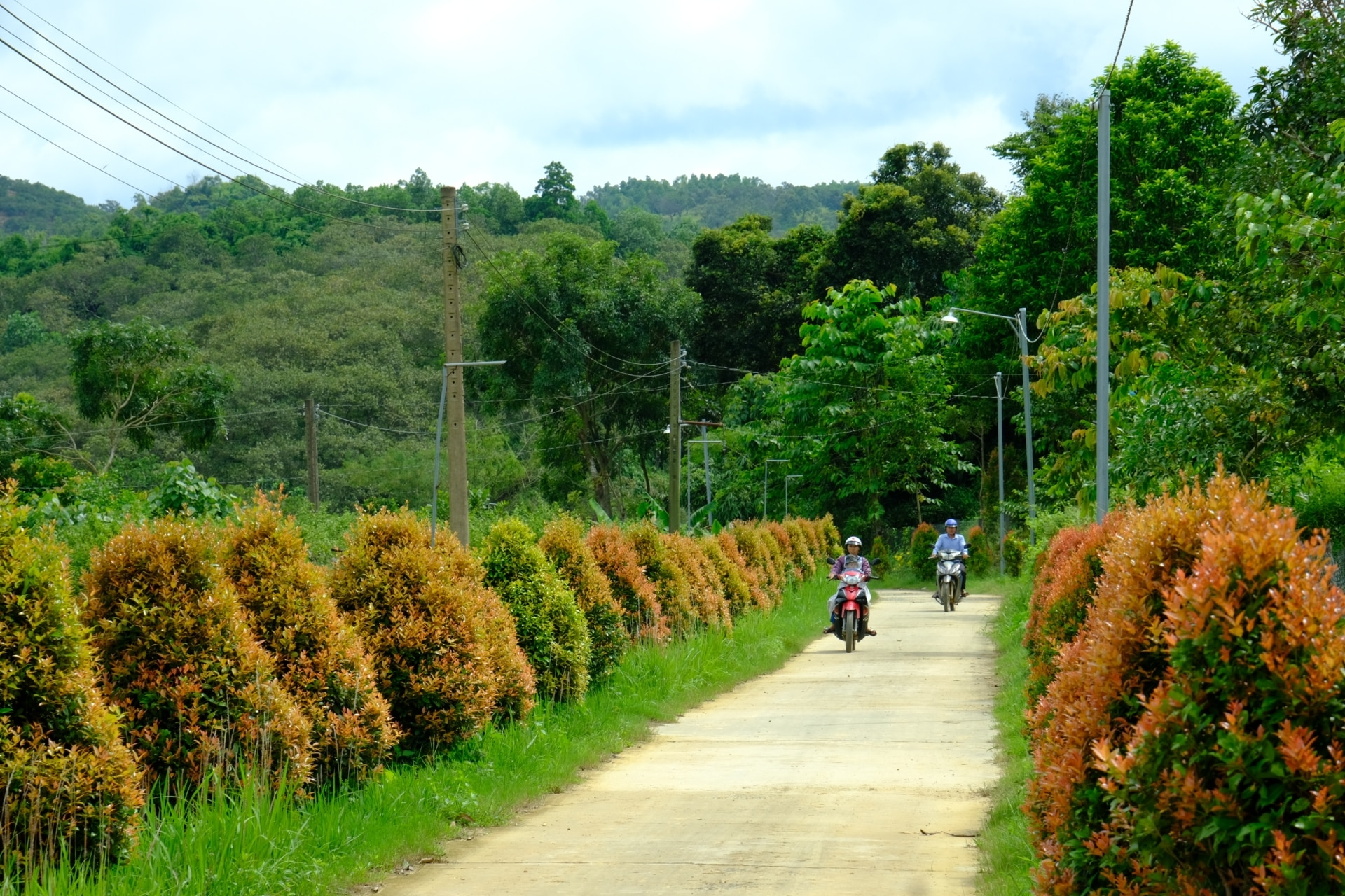 Phong trào xây dựng tuyến đường hoa, cây cảnh xanh, sạch đẹp được các địa phương, toàn thể Nhân dân trên địa bàn huyện Cát Tiên hưởng ứng sôi nổi. 