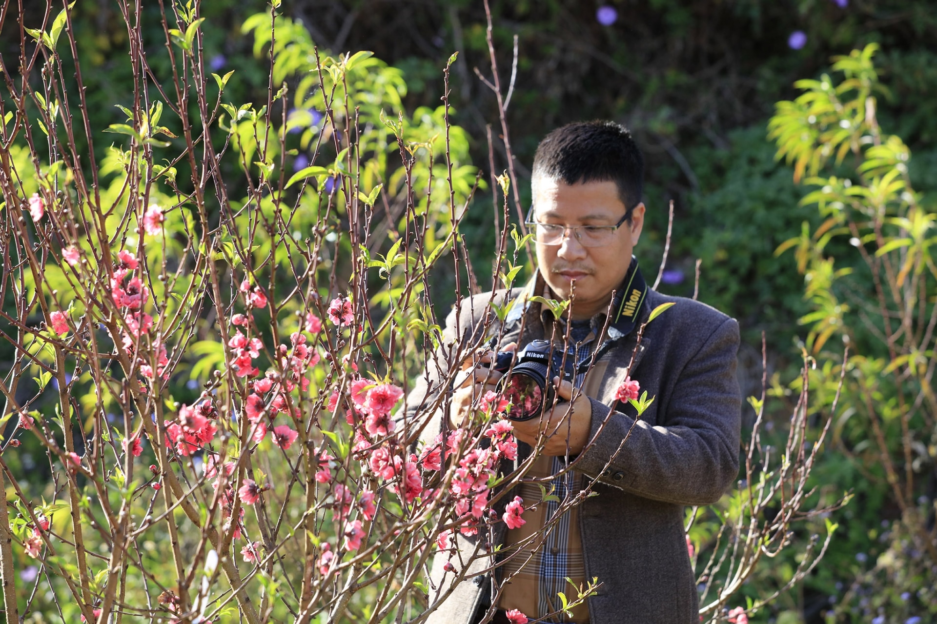 Chụp ảnh với hoa đào cũng là một hoạt động phổ biến tại vườn đào Hồng Phương