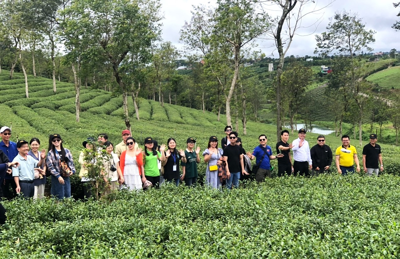 Chi hội Du lịch Nam Lâm Đồng tổ chức tuor tham quan, trải nghiệm tại các nông trường chè trên địa bàn TP Bảo Lộc