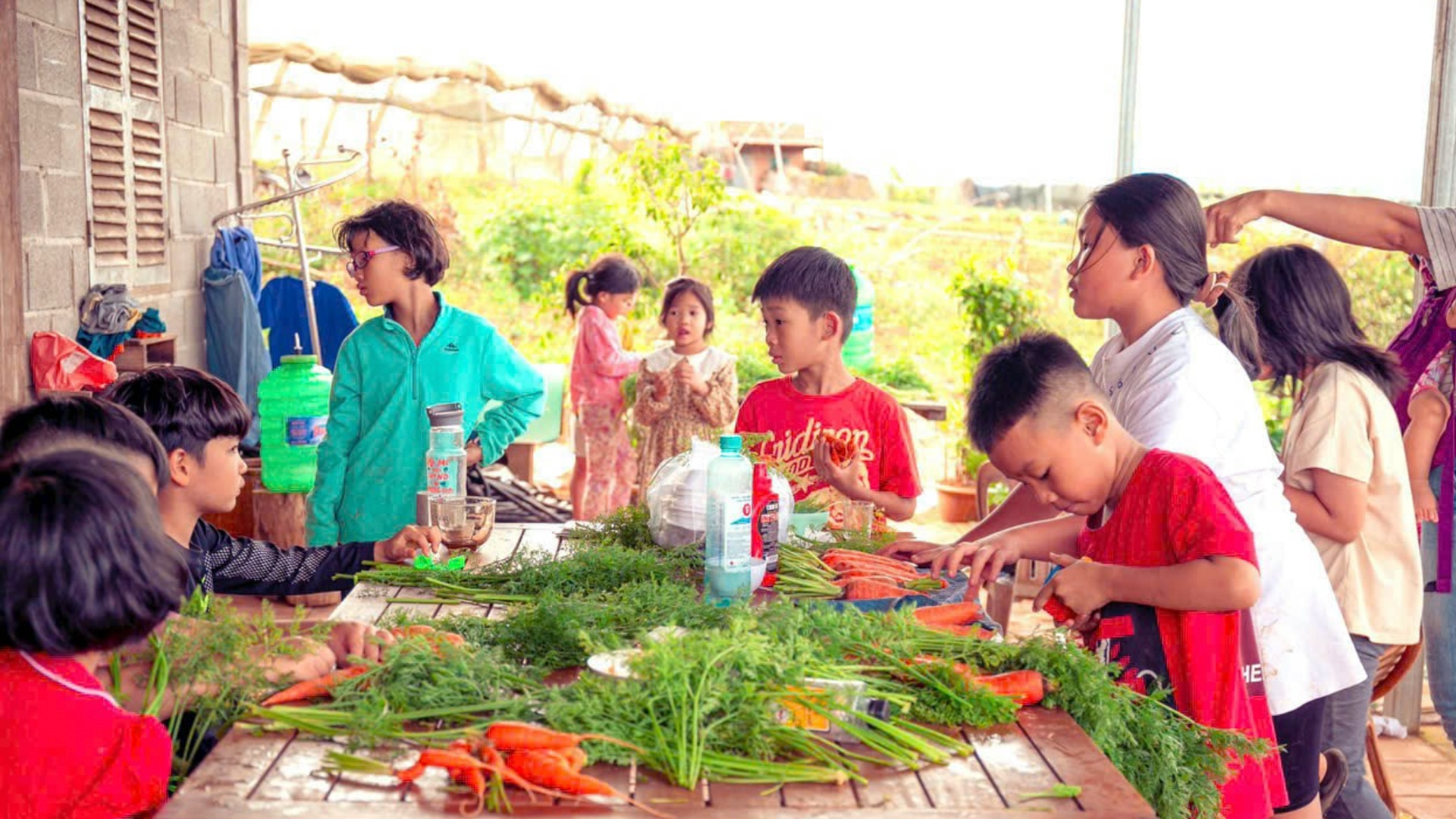 Avocado Farm đã tạo được ấn tượng cho du khách với mô hình du lịch “từ trang trại đến bàn ăn”