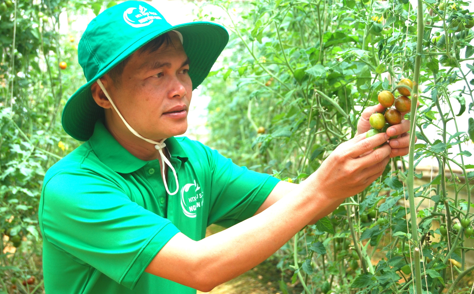 Hội Nông dân tỉnh phối hợp với các sở, ngành đào tạo, bồi dưỡng nông dân xuất sắc 
trở thành giám đốc HTX nông nghiệp