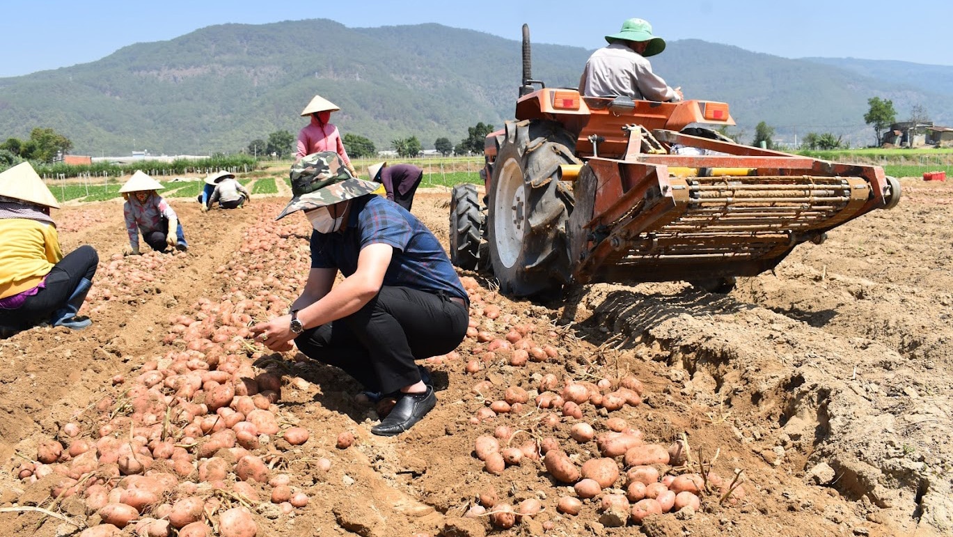 Việc tăng cường cơ giới hóa trong sản xuất nhằm giảm giá thành bán ra, nâng cao 
uy tín và giá trị thương hiệu nông sản Đà Lạt