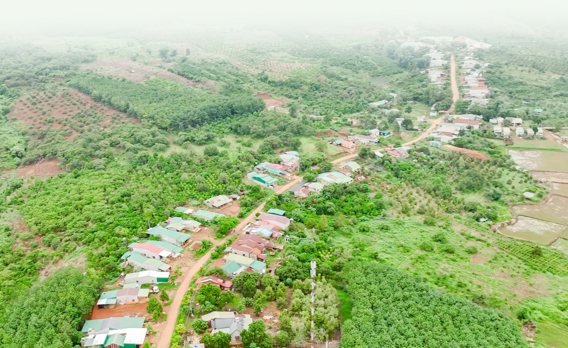 Đồng Nai Thương (huyện Cát Tiên) là xã vùng sâu, vùng xa của Lâm Đồng đã được công nhận đạt chuẩn nông thôn mới và đang dần hoàn thiện các tiêu chí nông thôn mới nâng cao