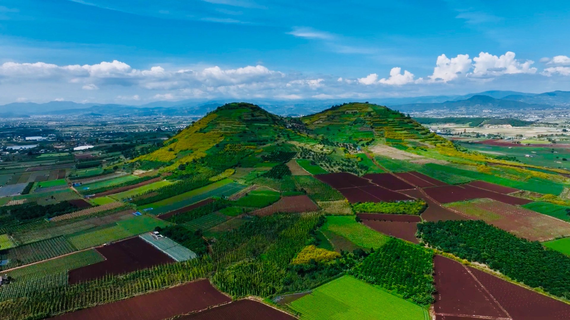 Núi Rchai mùa dã quỳ