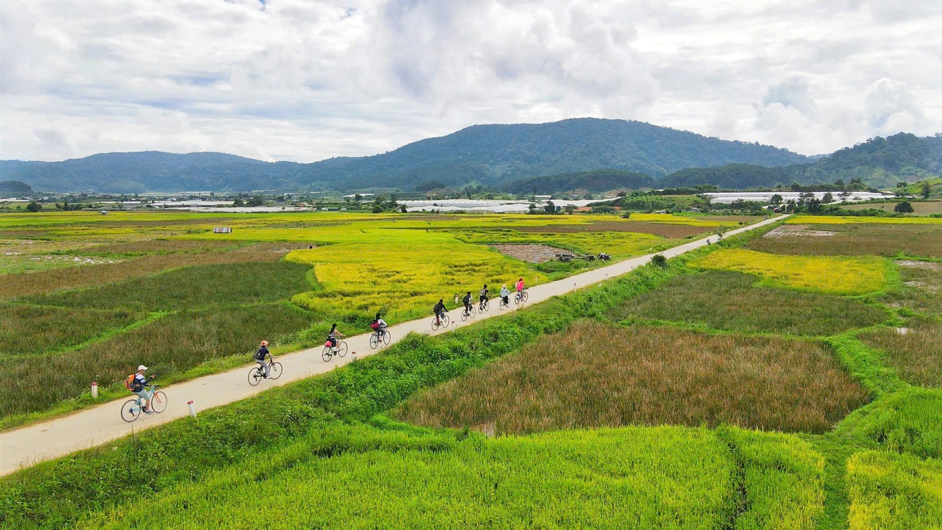 Pró đẹp như tranh vẽ