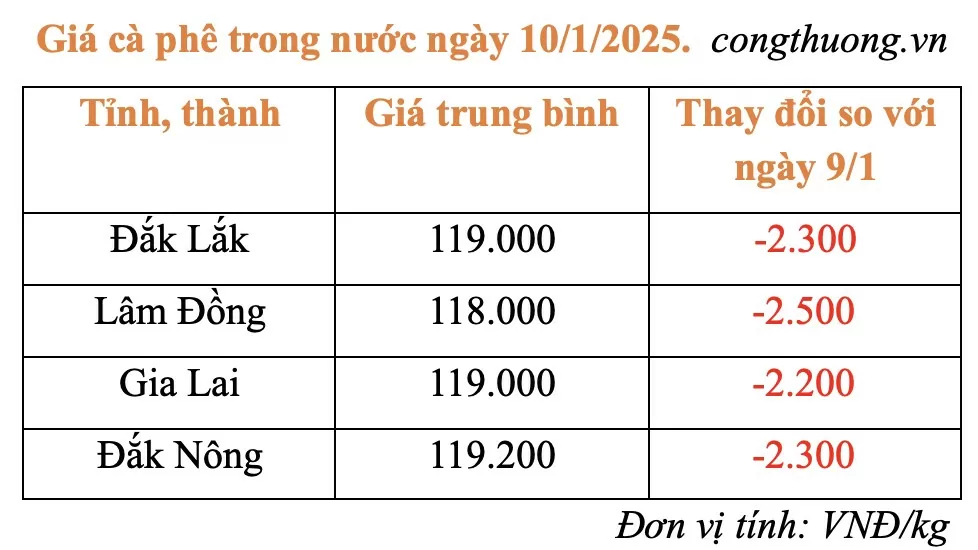 Giá cà phê trong nước hôm nay 10/1/2025 giảm 'cực sốc'