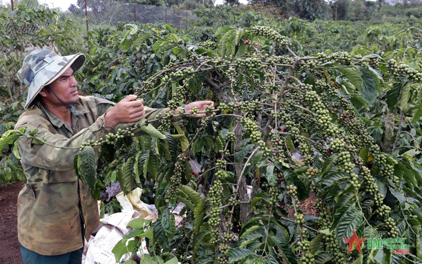 Xây dựng chính sách thuế tạo thuận lợi cho doanh nghiệp trong nước