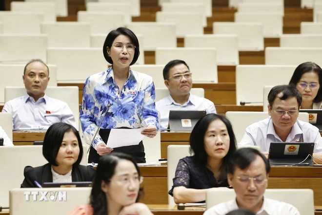 Đại biểu Quốc hội Thành phố Hà Nội Trần Thị Nhị Hà đặt câu hỏi chất vấn. (Ảnh: Doãn Tấn/TTXVN)