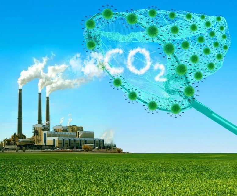 Đối với 4,91 triệu tấn CO2 từ lượng giảm phát thải còn lại, WB không đề xuất mua thêm. Việt Nam có quyền chuyển nhượng cho các đối tác tiềm năng khác - Ảnh minh họa