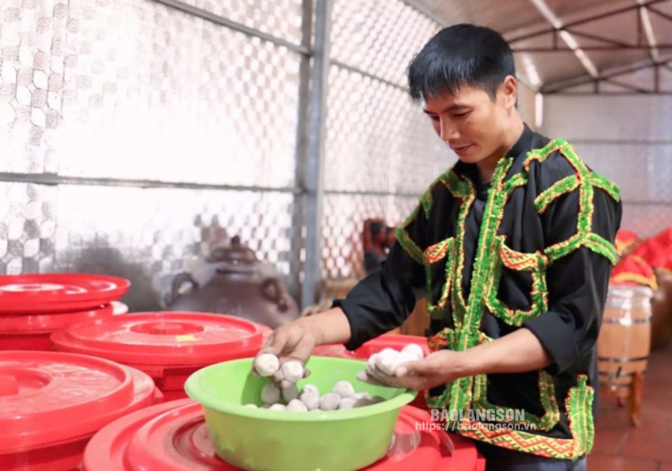 Thành viên Hợp tác xã Nông nghiệp Công Sơn, xã Công Sơn, huyện Cao Lộc kiểm tra chất lượng men lá trước khi ủ men