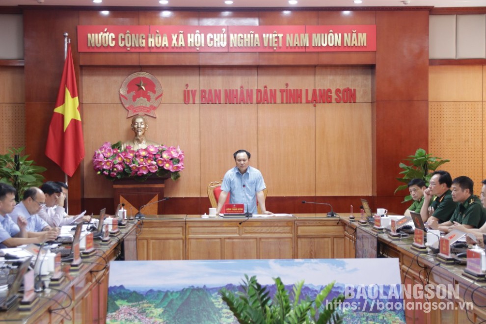 Le camarade Luong Trong Quynh, vice-président du Comité populaire provincial, a pris la parole lors de la réunion.