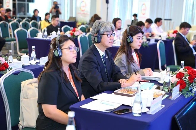 An dem Workshop nahmen internationale Experten teil. (Foto: Contributor/Vietnam+)