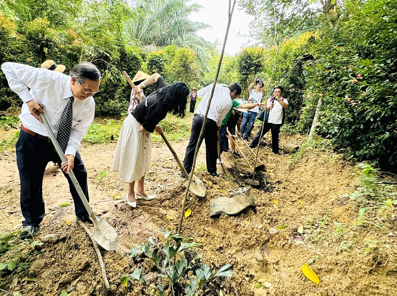 Hoạt động trồng cây tại Suối Rao Ecolodge - Ảnh: Báo Bà Rịa-Vũng Tàu