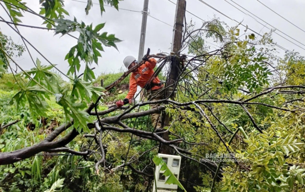 Cán bộ Điện lực thành phố Lạng Sơn xử lý sự cố do cây gãy đổ vào đường dây điện