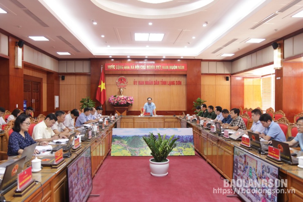 Le camarade Luong Trong Quynh, vice-président du Comité populaire provincial, a présidé une réunion en ligne à trois niveaux, de la province au niveau local, sur les mesures d'urgence pour répondre à la tempête n° 3.