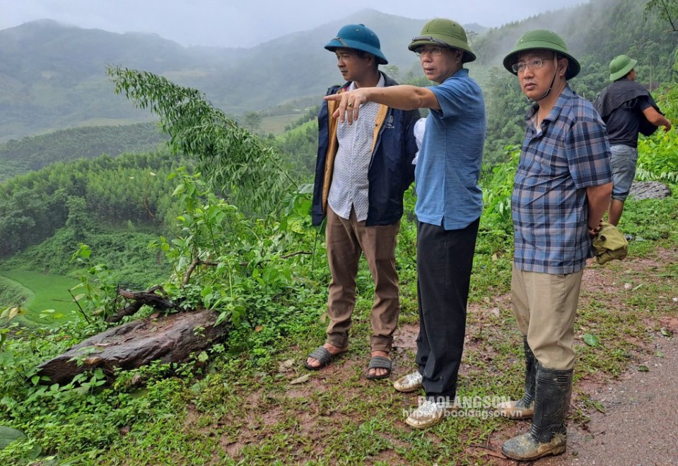 Lãnh đạo Ban quản lý xây dựng và bảo trì hạ tầng giao thông kiểm tra thực địa khu vực sạt lở nghiêm trọng tại đường tỉnh 250