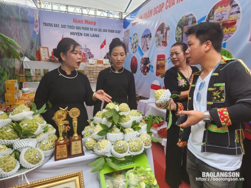 Quảng bá, giới thiệu na Chi Lăng