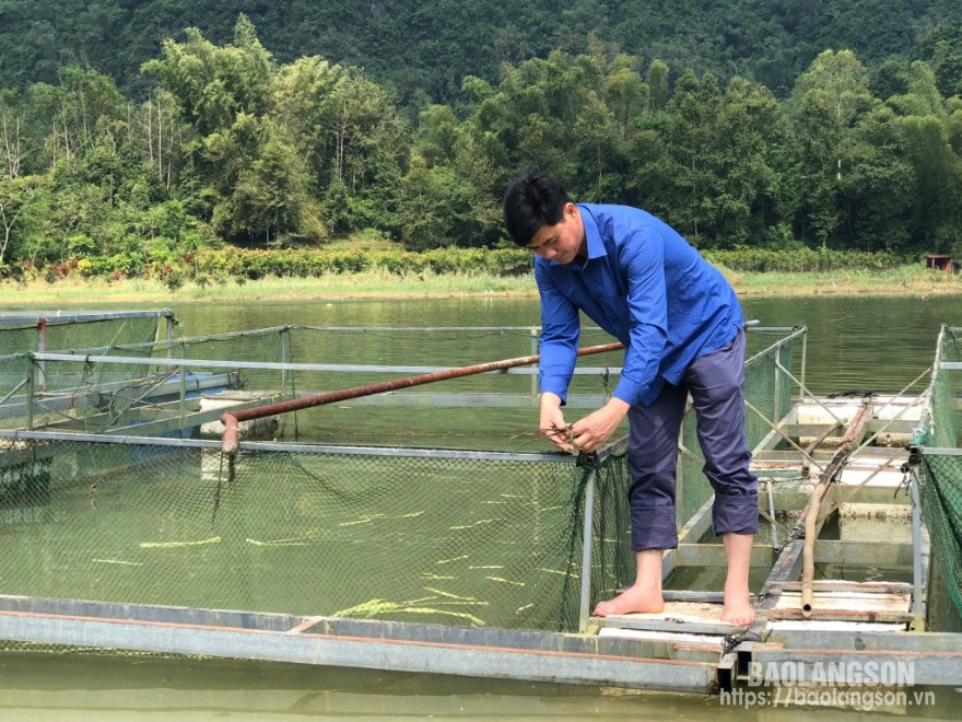 Người dân thị trấn Văn Quan, huyện Văn Quan gia cố lại lồng cá sau bão