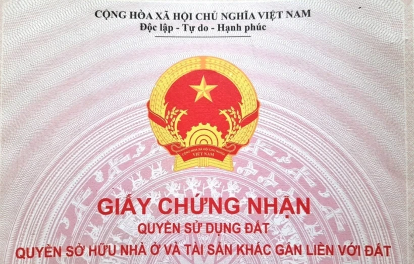 Ảnh minh họa. (Nguồn: Vietnam+)