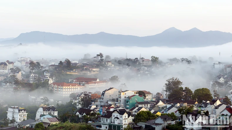 Đà Lạt trong sương.