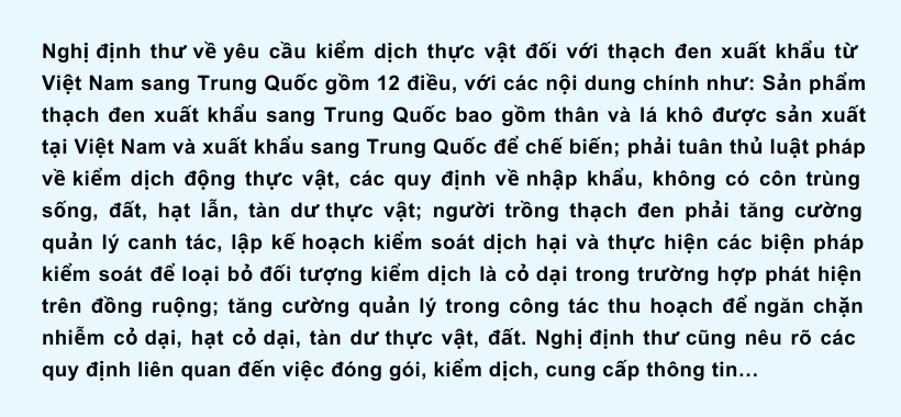 Ảnh co giãn vừa văn bản