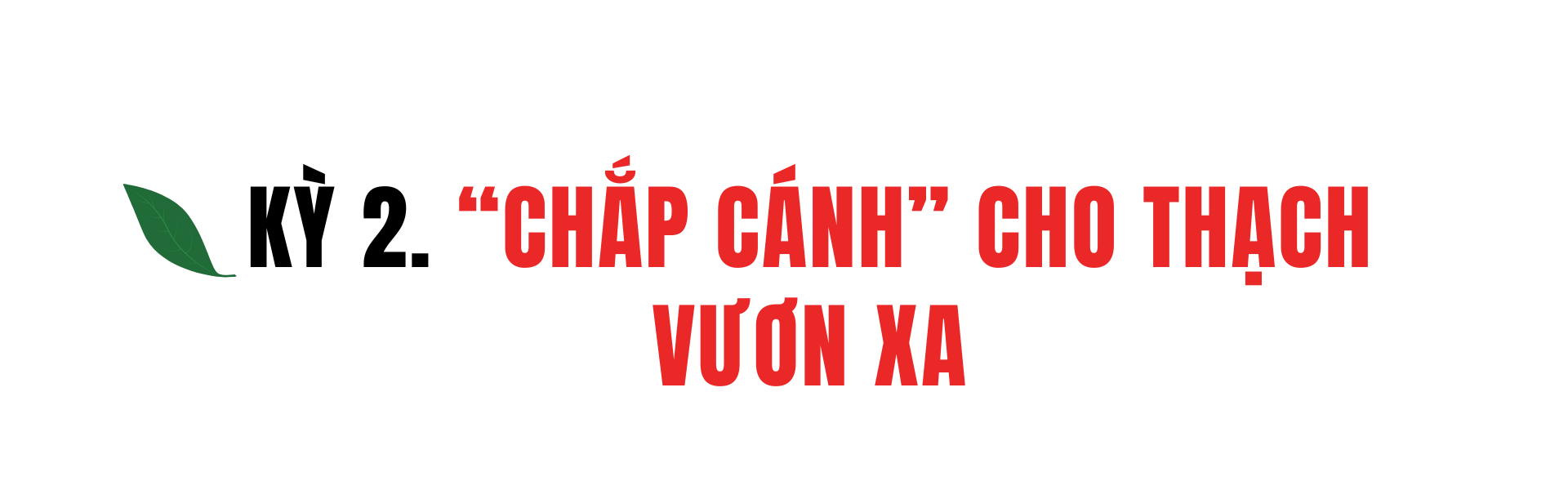 Ảnh co giãn vừa văn bản