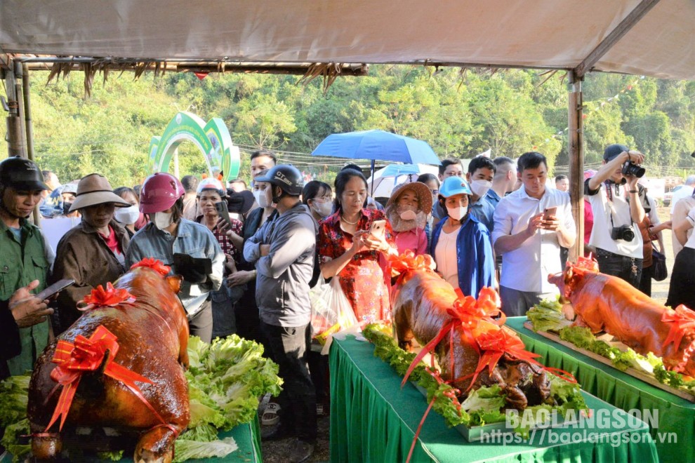 Người dân và du khách thích thú chụp ảnh lợn quay tại lễ hội 