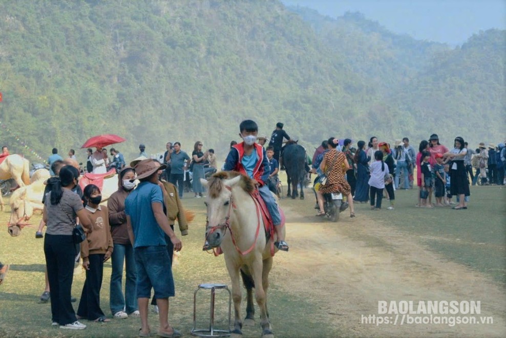 Du khách trải nghiệm hoạt động cưỡi ngựa trên thảo nguyên Đồng Lâm, xã Hữu Liên, huyện Hữu Lũng