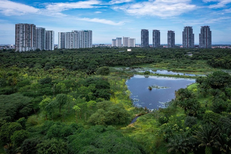 Thành phố xanh Ecopark với hơn 1 triệu cây xanh.