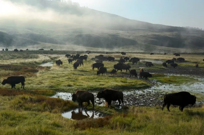 (Nguồn: National Geographic)